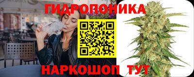 прущие крисы Малгобек
